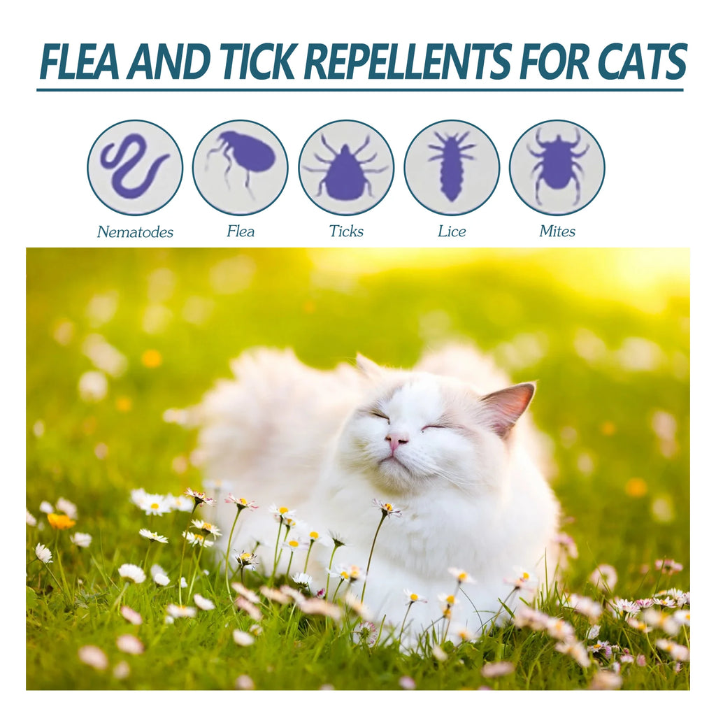 Pet Anti-flea Tick Drops for Cats and Dogs Natural Formula Skin Cleaning