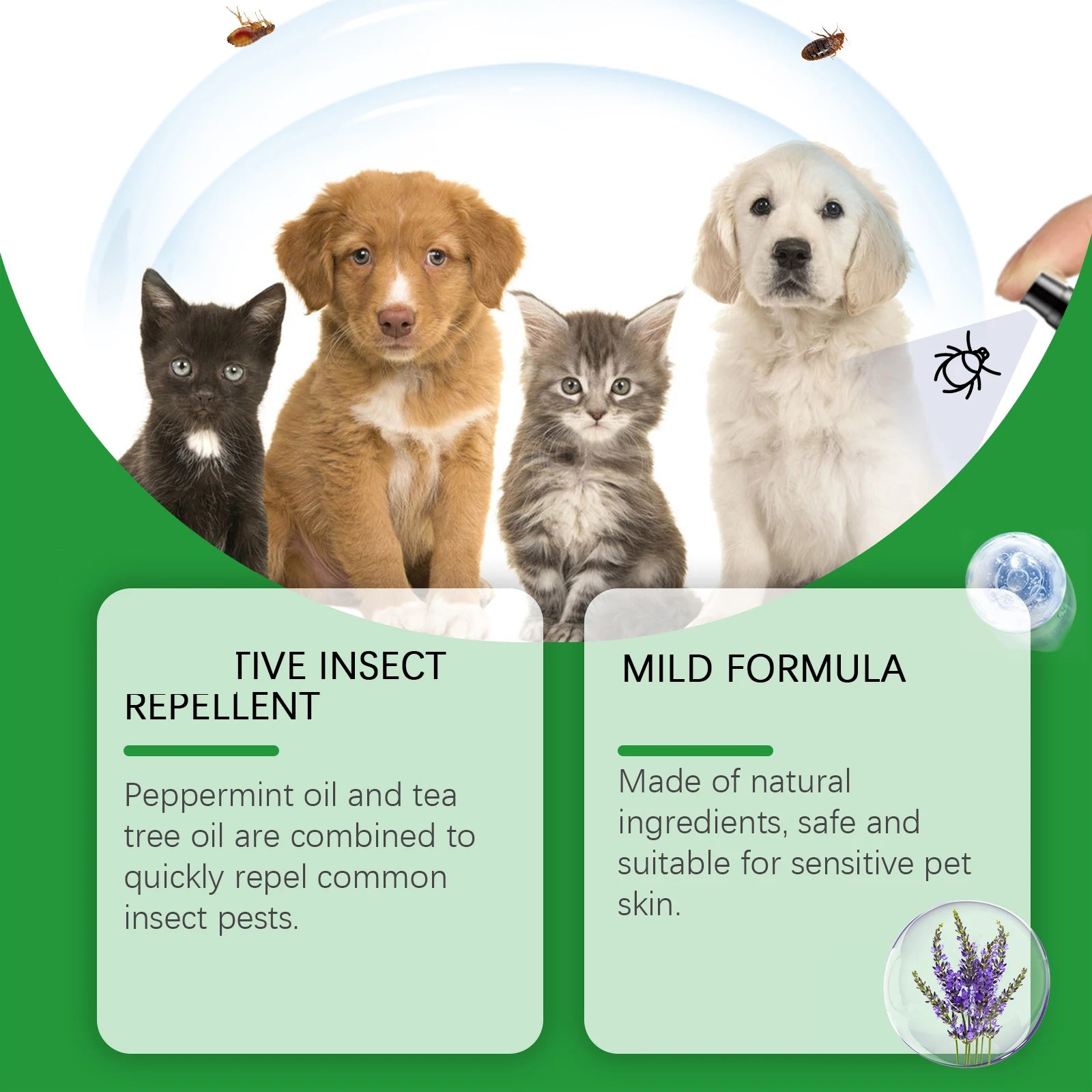 Pet Insect Repellent Spray Daily Cleaning, Promote Pet Skin Health Flea Relief