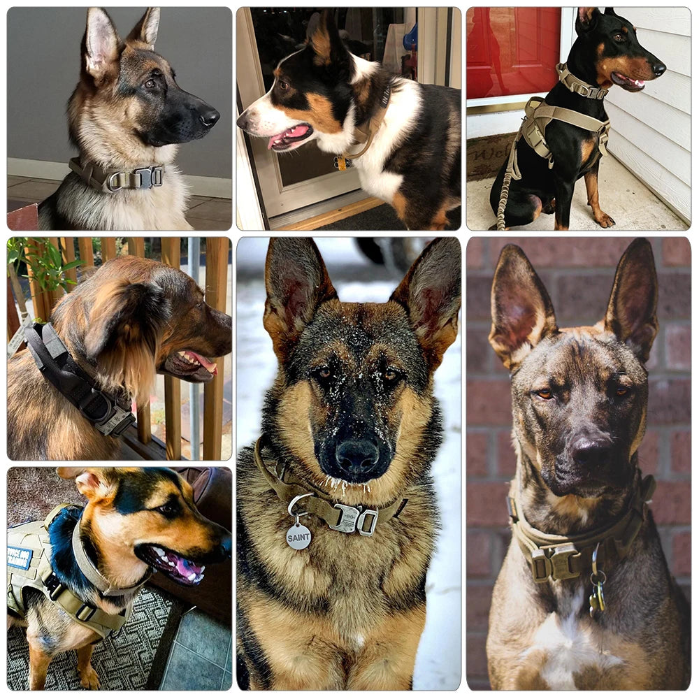 Dog Training Collar Adjustable Tactical Dog Collar And Leash Set  For Small Big Dogs