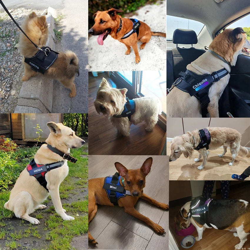 Dog Harness NO PULL Reflective Breathable Adjustable with ID Custom Patch
