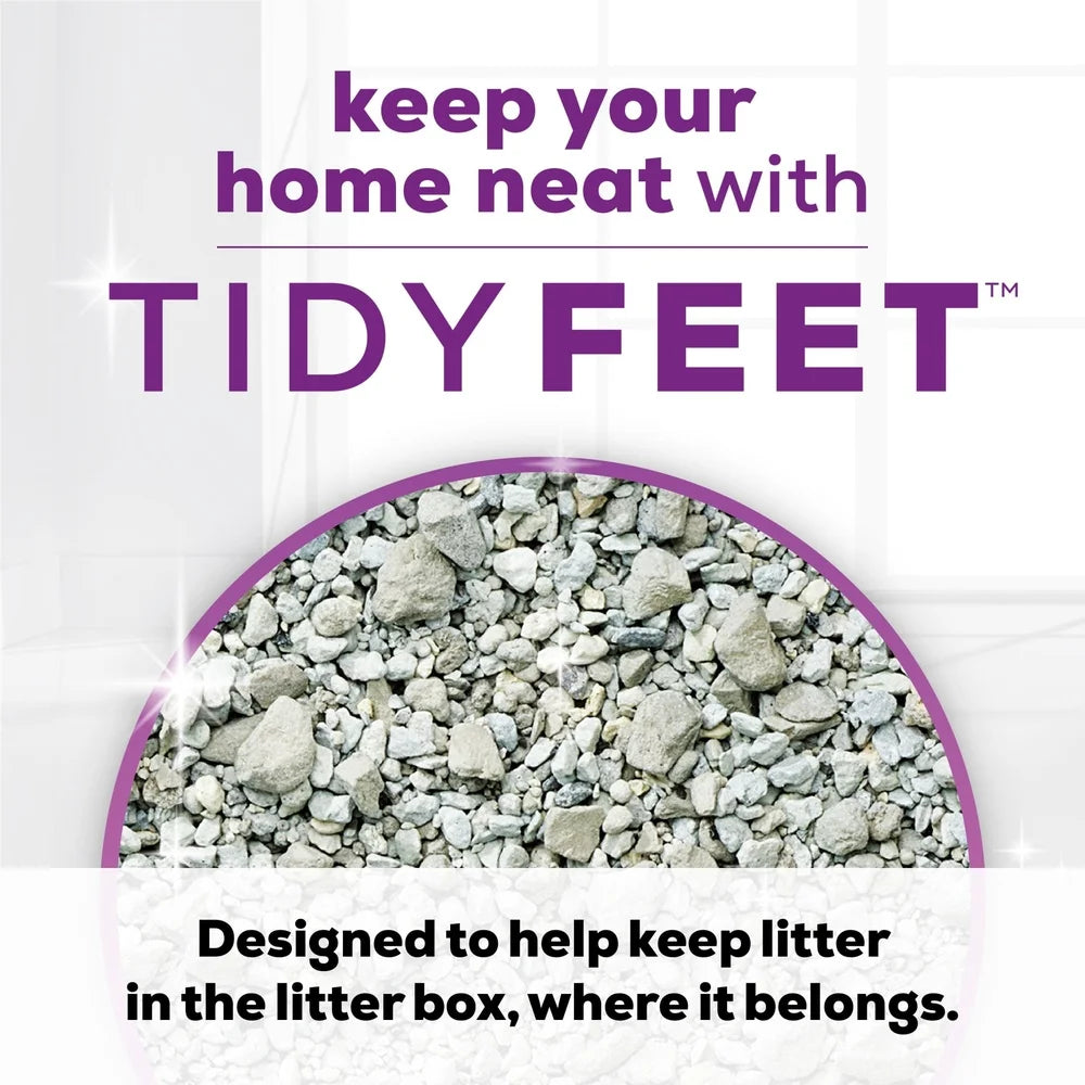 Clumping Cat Litter Low Dust 14 Day Odor Control Easy Scoop 20 lb Jug