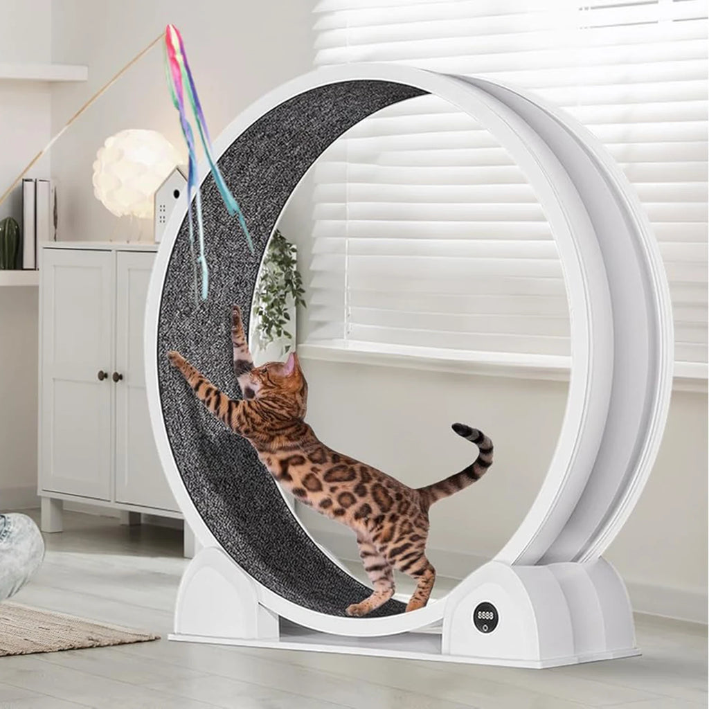 Cat Exercise Wheel for Indoor Cats, Quiet Cats Treadmill with Pedometer