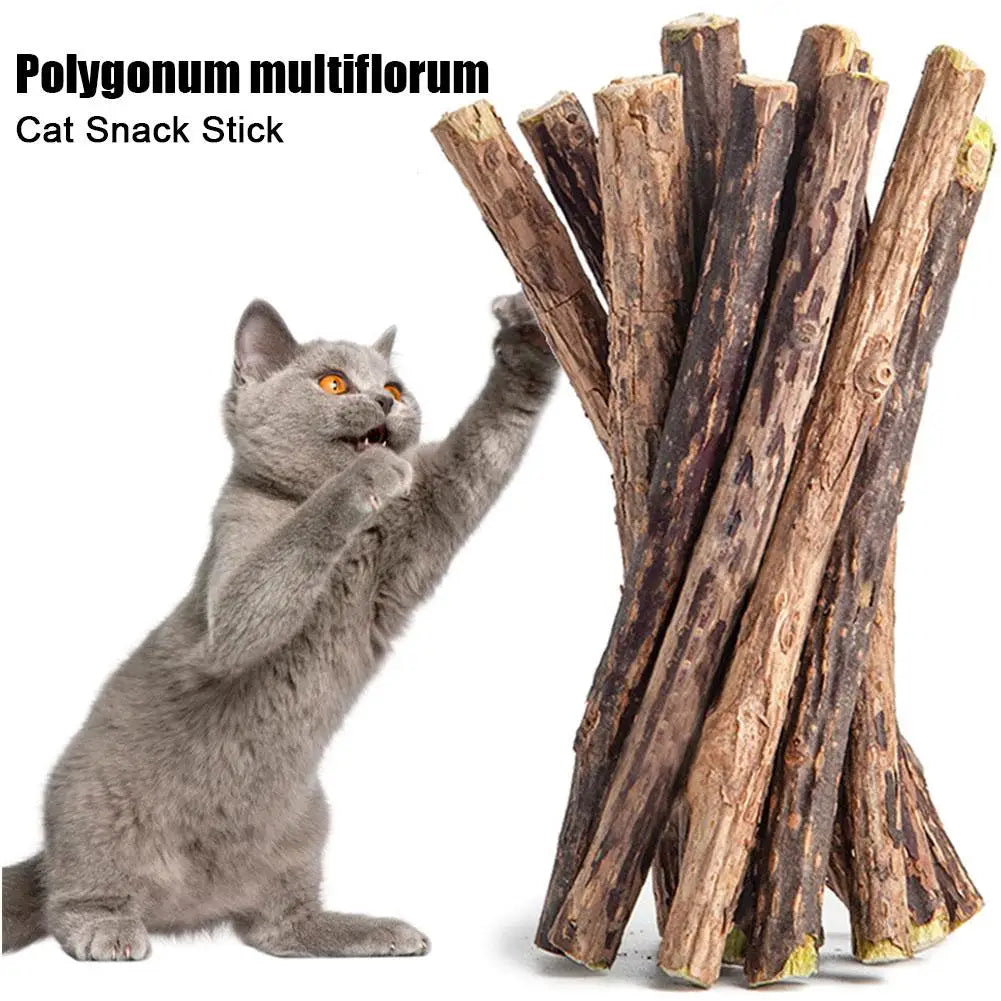 5pc Catnip Stick Pet Cat Molar All Natural Self-healing