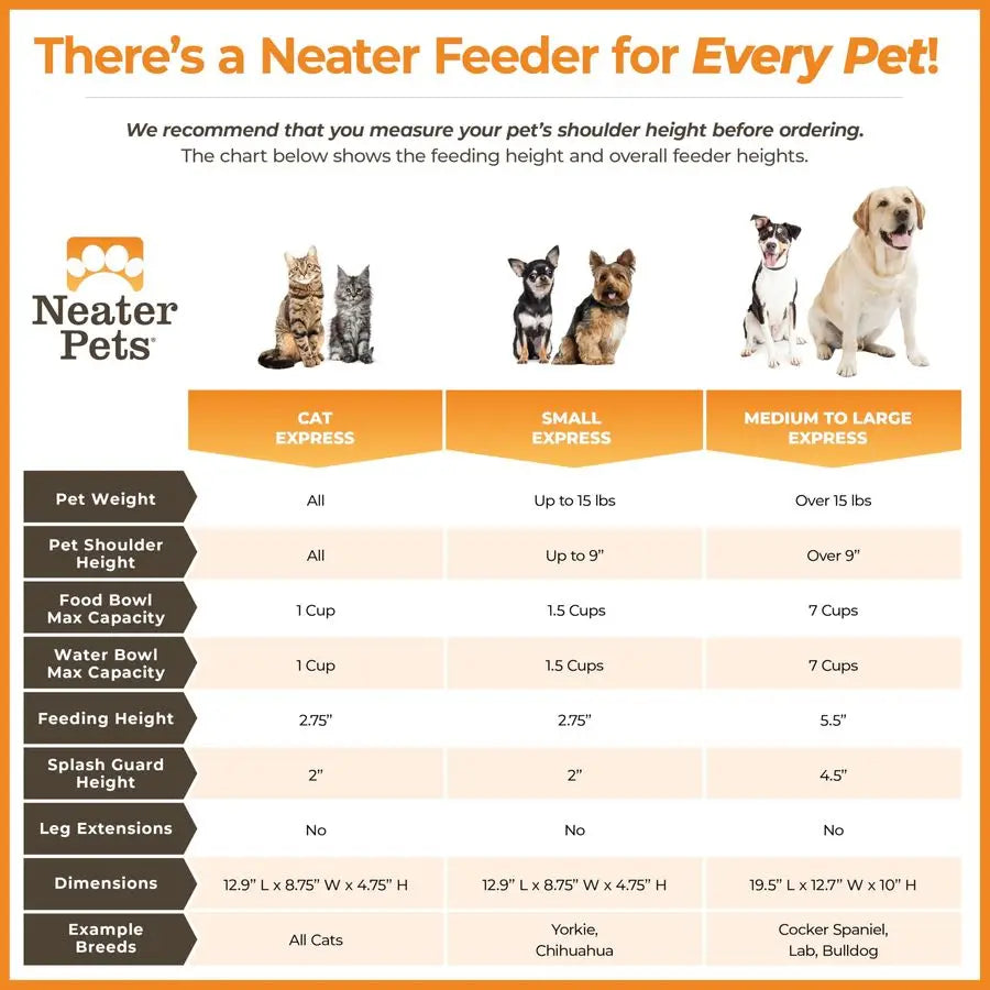 Express Mess Proof Dog Bowls Elevated for Medium to Large Sized Breed, Raised Dog Food Bowl Stand, Stainless Steel Bowls
