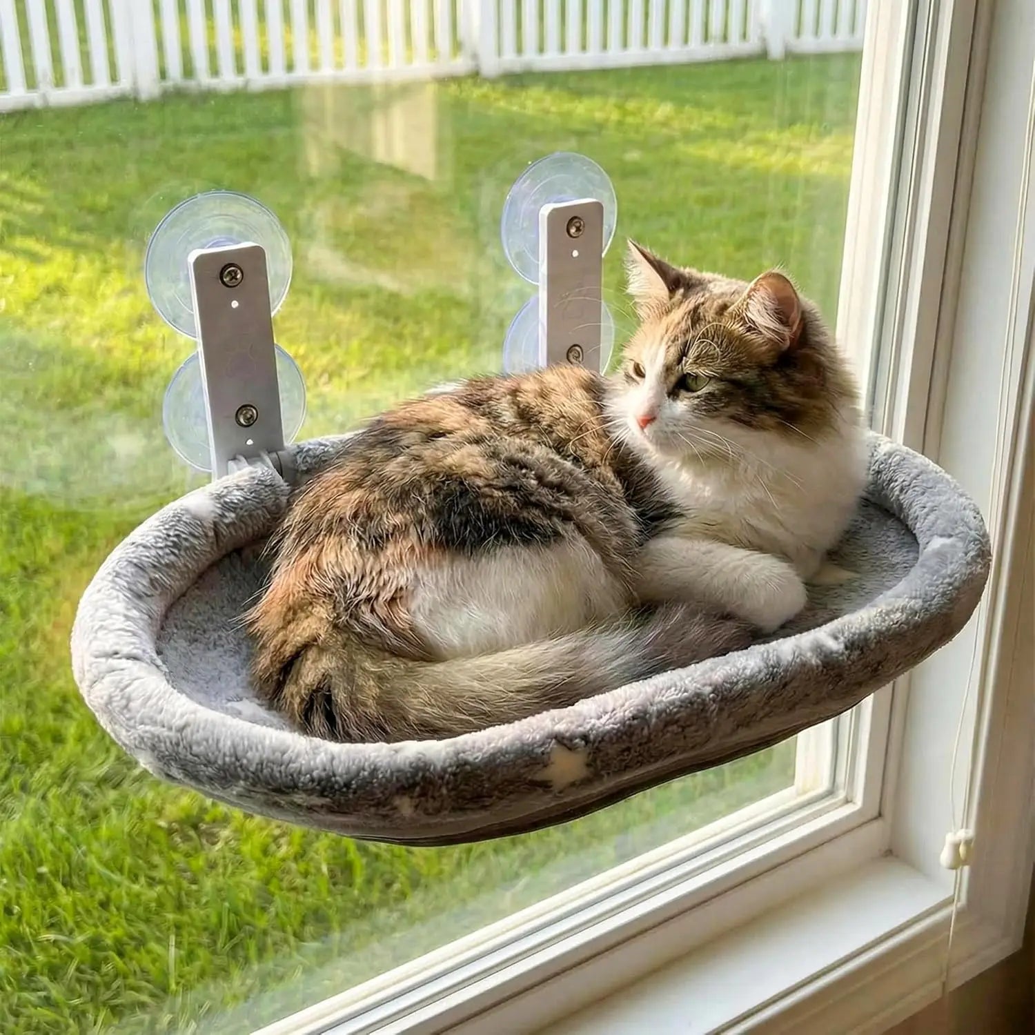 Cat Window Perch Hammock - Glow in The Dark With Sturdy Metal Frame & Strong Suction Cups
