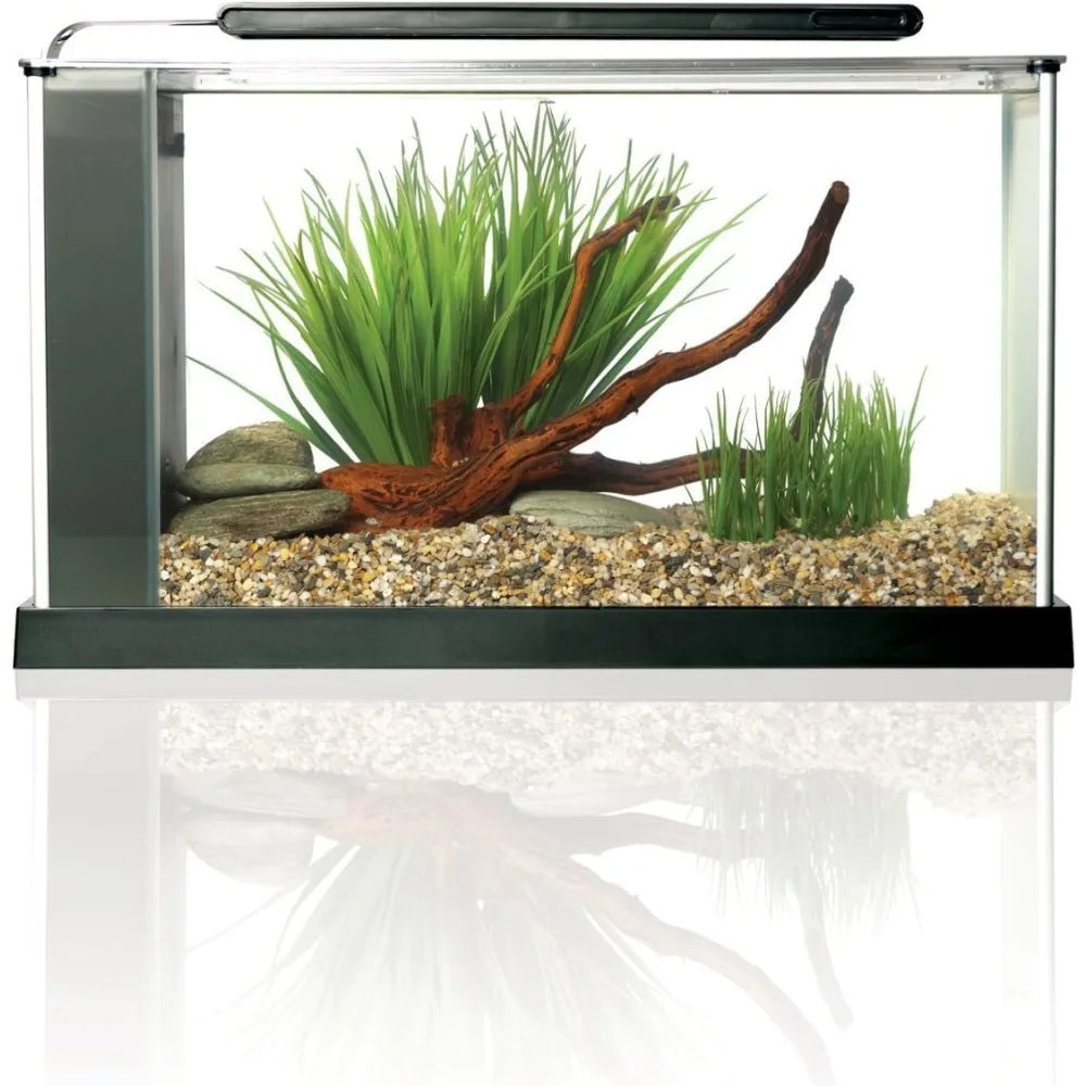 Fluval SPEC 5-Gallon Aquarium Kit with LED Light and 3-Stage Filter System