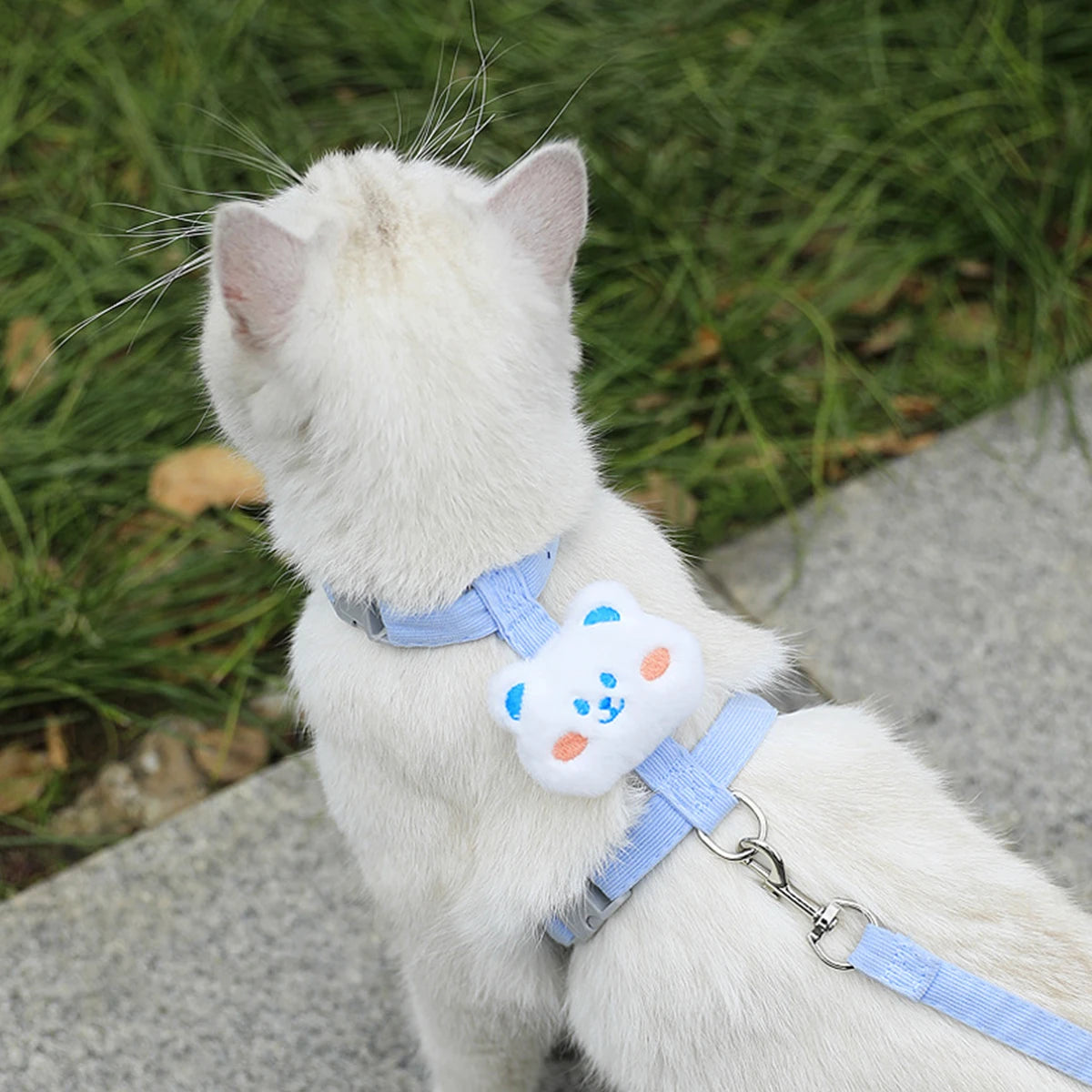 Cat Harness and Leash Sets, Adjustable Dog Harness for Small Dog, Leash Breathable Pet
