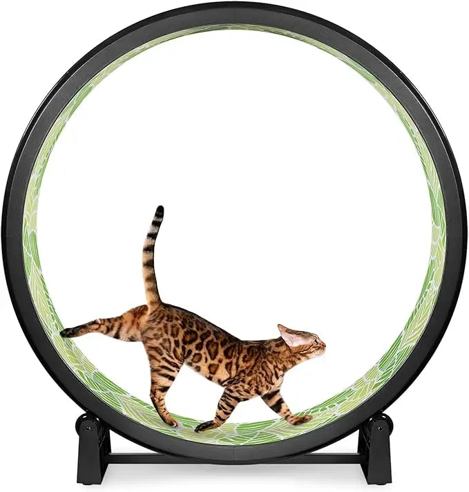 7 One Fast Cat Exercise Wheel - US Made - Black with Felt Pads & Inline Wheels