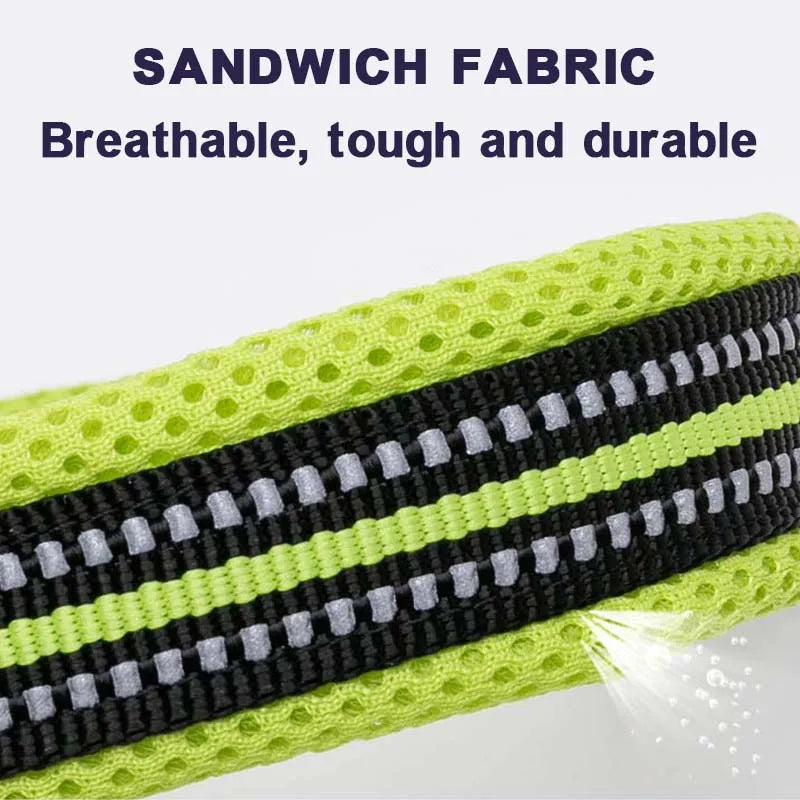 Dog Walking Collar Comfort Padded with Buckle Nylon Traveling Collar