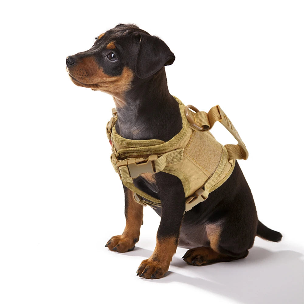 Tactical Puppy Harness Leash For Small Dogs/Cats, Adjustable Kitten Vest, For Military Service Dog Working