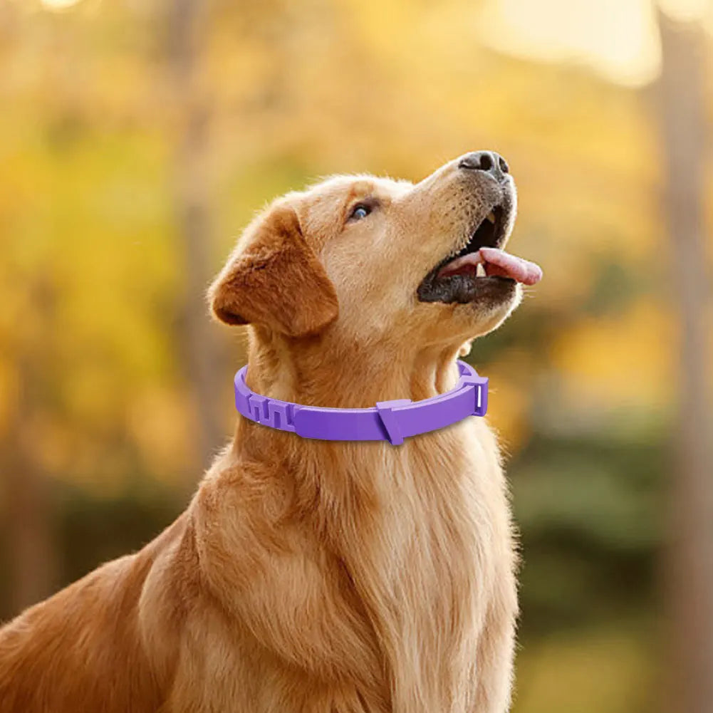 3/4 Pack Pet Calming Collar Stress and Anxiety Relief Pheromone Collar Adjustable Appeasing Calming Collar for Cats Dogs