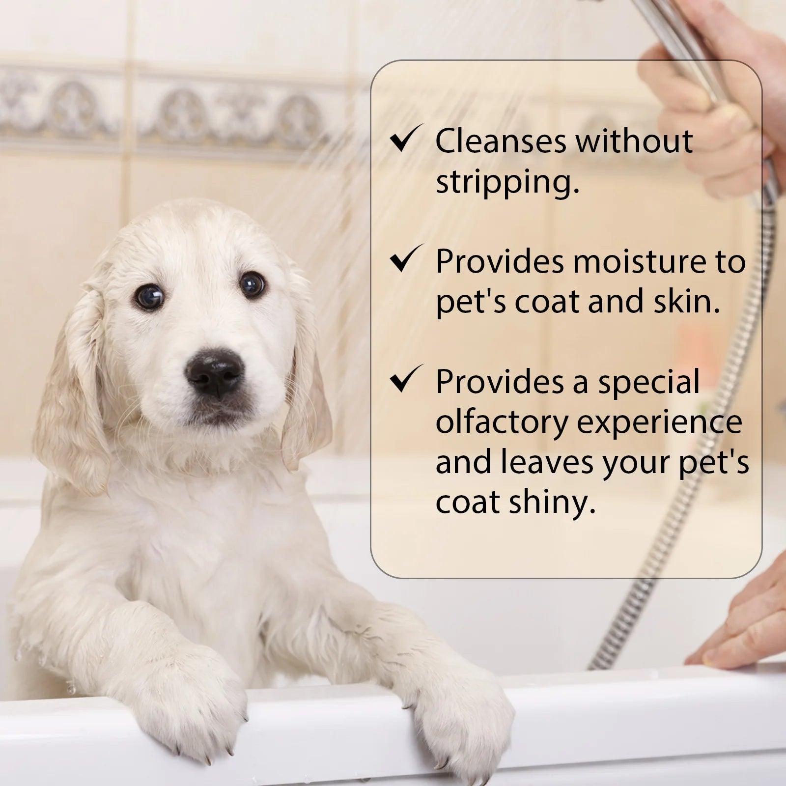 Dog Wash Shampoo: Flea & Mite Killer, Dirt Removal - Anti-Itch, Deodorizing & Moisturizing Formula