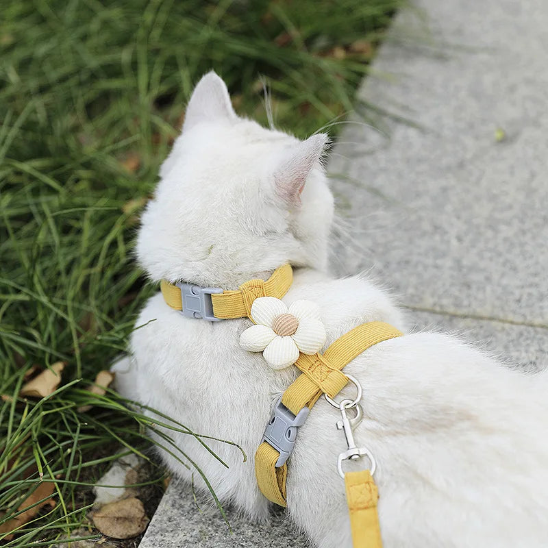 Cat Harness and Leash Sets, Adjustable Dog Harness for Small Dog, Leash Breathable Pet