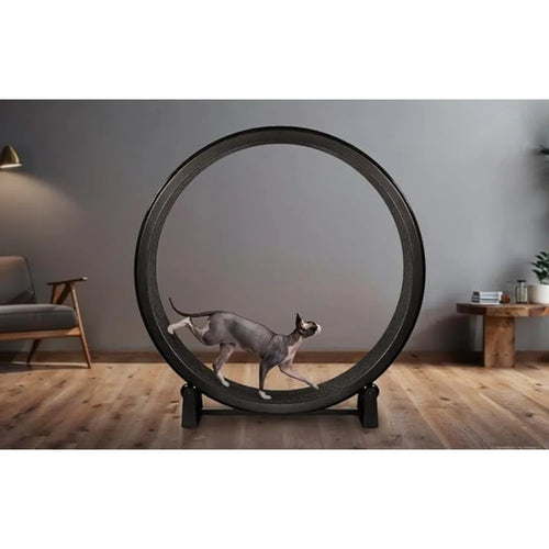 7 One Fast Cat Exercise Wheel - US Made - Black with Felt Pads & Inline Wheels