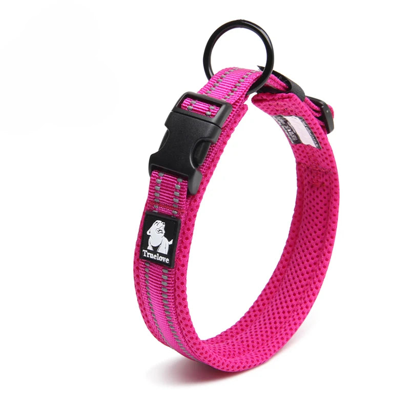 Dog Walking Collar Comfort Padded with Buckle Nylon Traveling Collar