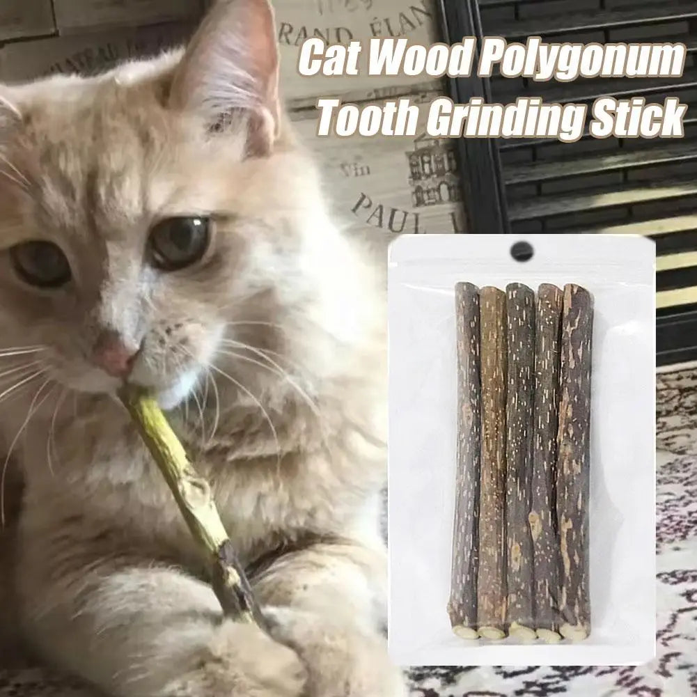 5pc Catnip Stick Pet Cat Molar All Natural Self-healing