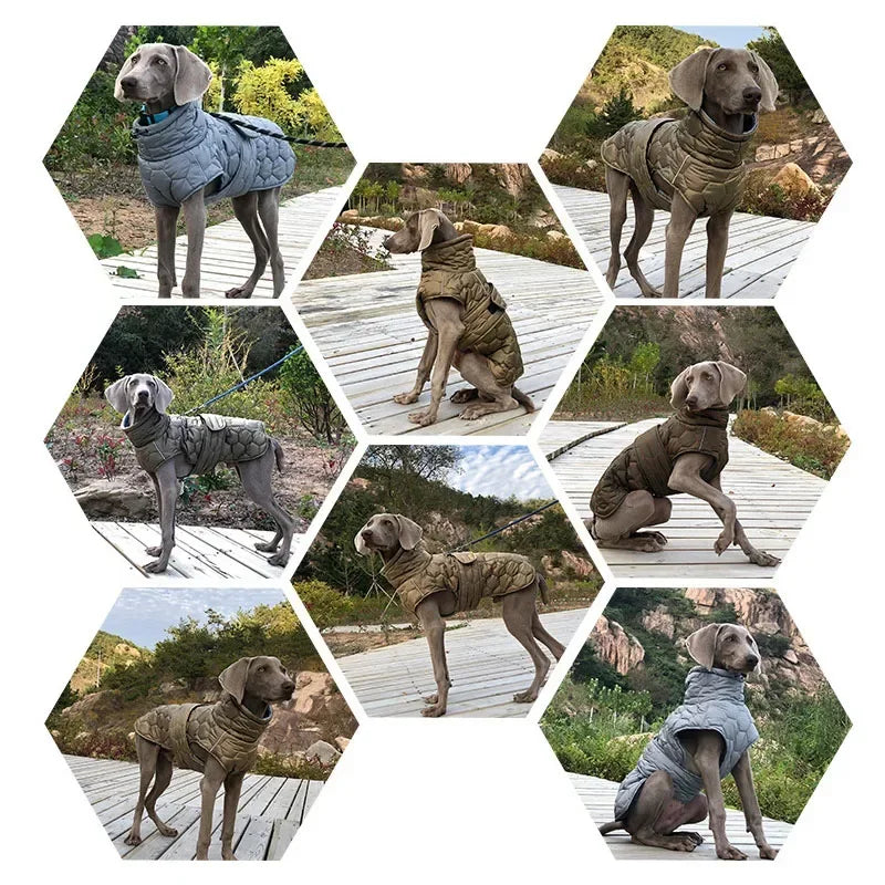 Winter Warm Dog Clothes Thick Reflective Snowsuit Pet Dog Down Jacket