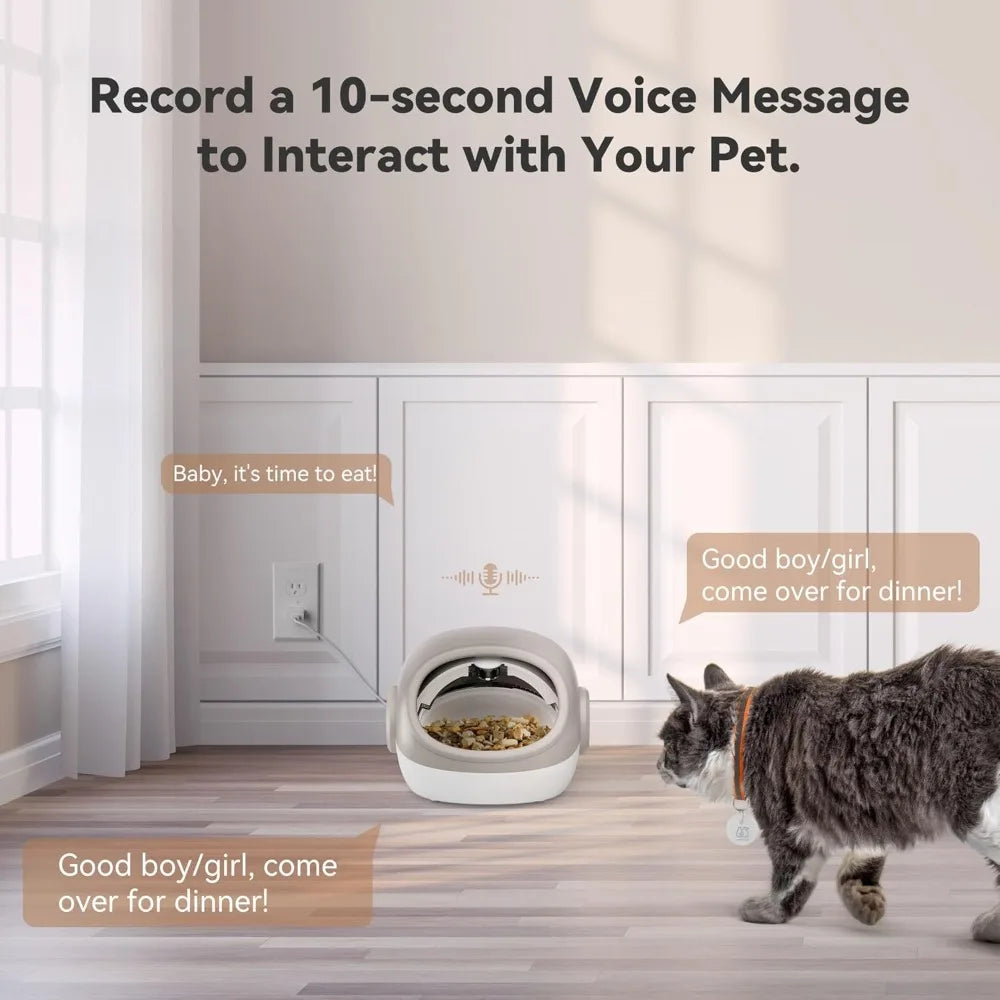 Upgraded RFID Cat Feeder with Collar Sensor – 4 Feeding Modes, Anti-Theft Pet Feeder for Multi-Cat Households
