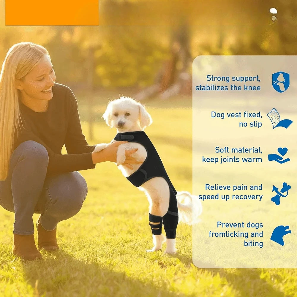Adjustable Dog Knee Brace Durable Joint Support Leg Support Bracket Reflective Design Breathable Pet Knee Wound Protection