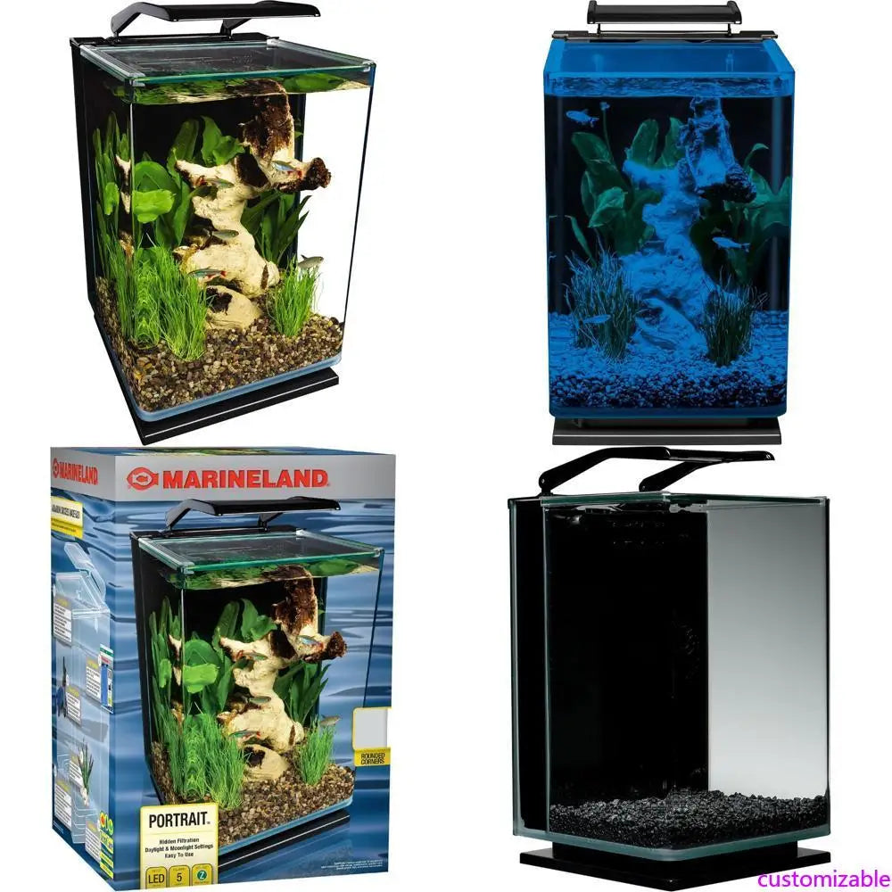 5 Gallon Marineland LED Aquarium Kit with Hidden Filtration and Black Frame