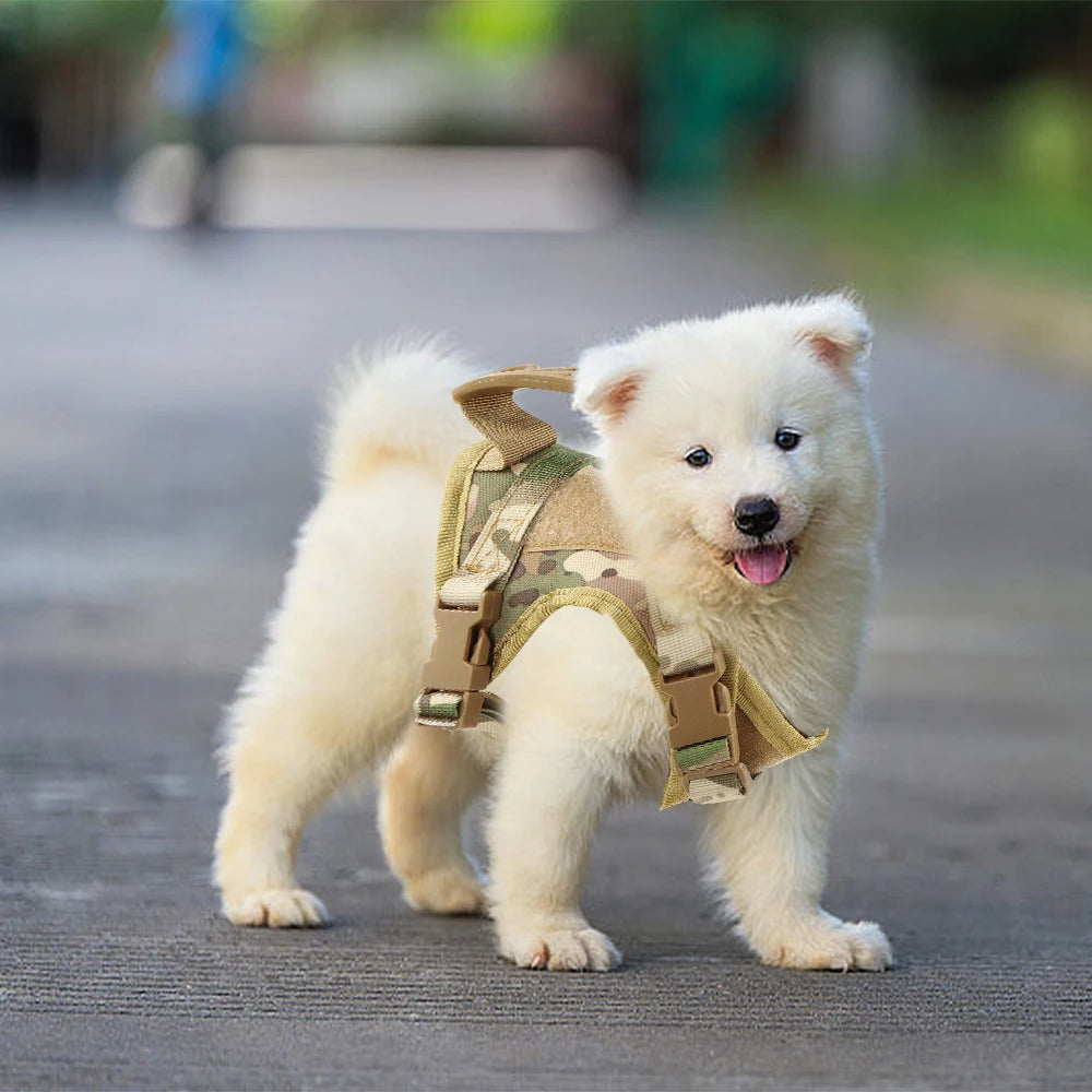 Tactical Puppy Harness Leash For Small Dogs/Cats, Adjustable Kitten Vest, For Military Service Dog Working