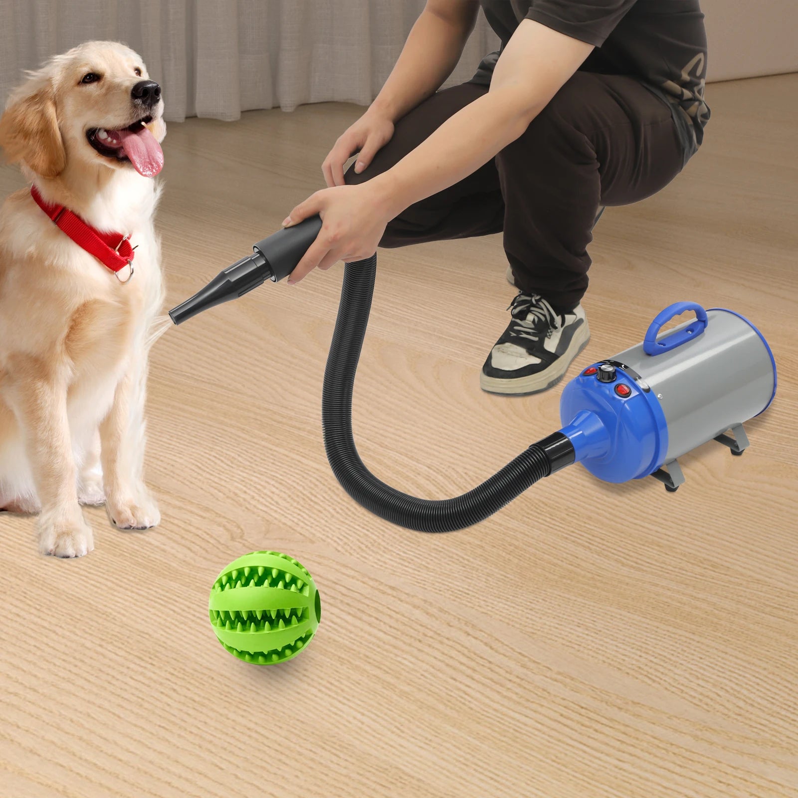 Pet Hair Dryer, Adjustable Design Wind Speed, Electric Dog Cat Hair Dryer, 4 Nozzles