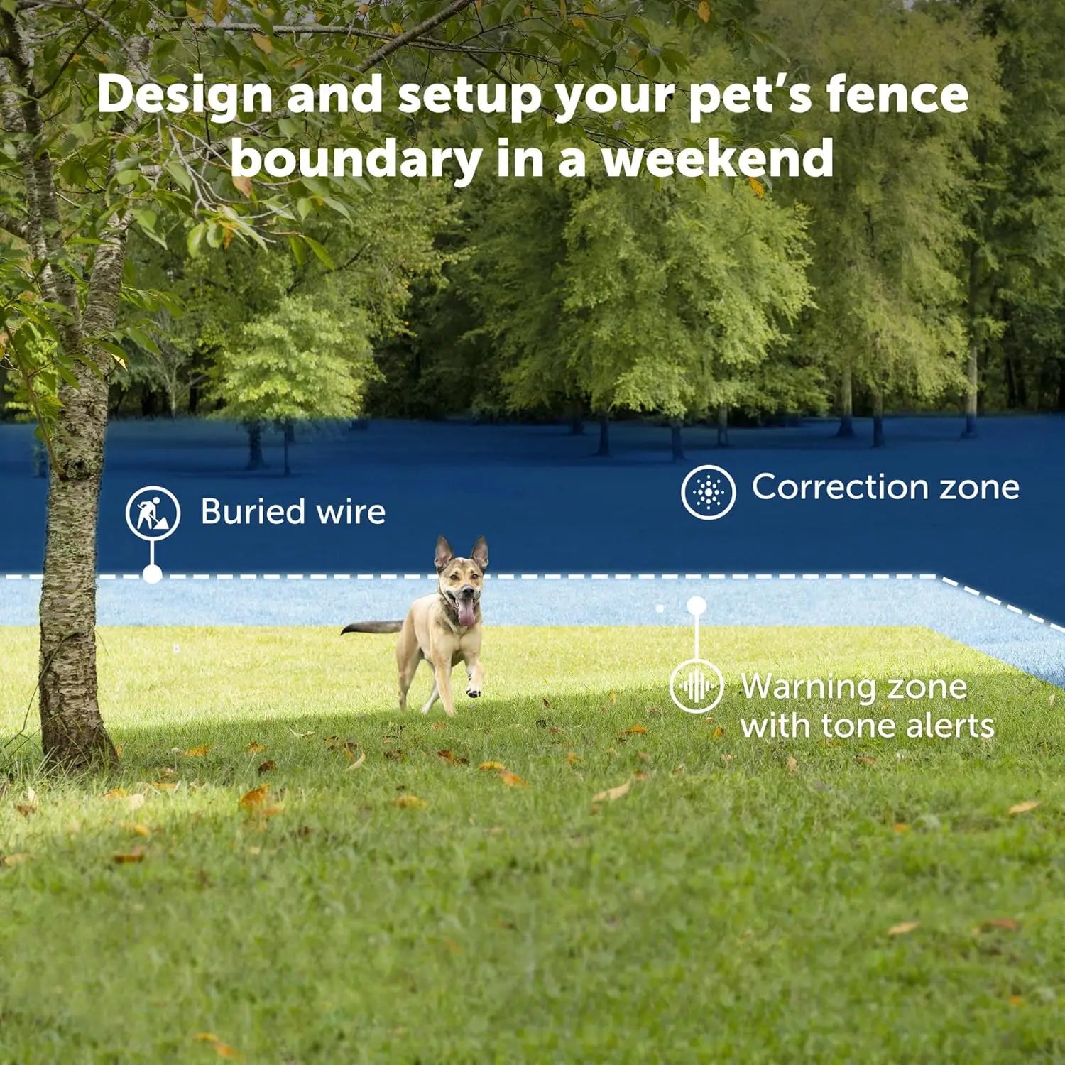 Ultralight Waterproof Electric Dog Fence Collar with Adjustable Fit and Low Battery Indicator