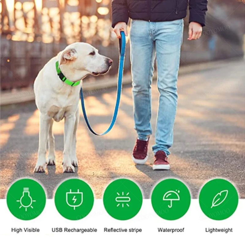 3 Modes Dog Luminous Charge Collar Loss Prevention Collar/Pet Accessories