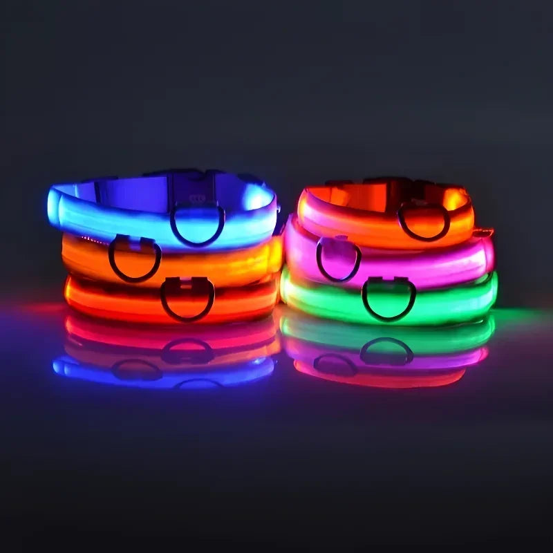 Dog Collar Nylon LED Night   Safety Flashing Glow-In-The-Dark Pet Dog Leash
