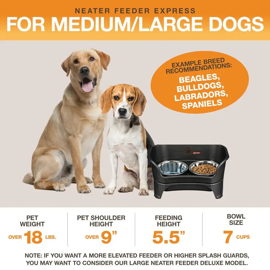 Express Mess Proof Dog Bowls Elevated for Medium to Large Sized Breed, Raised Dog Food Bowl Stand, Stainless Steel Bowls