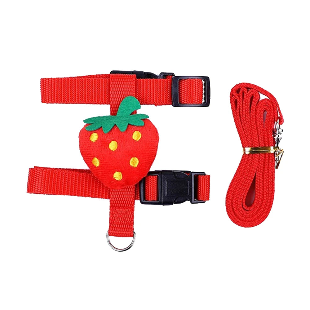 Rabbit/Cat Harness and Leash Set, Adjustable Pet Lead Leash for Small Animals