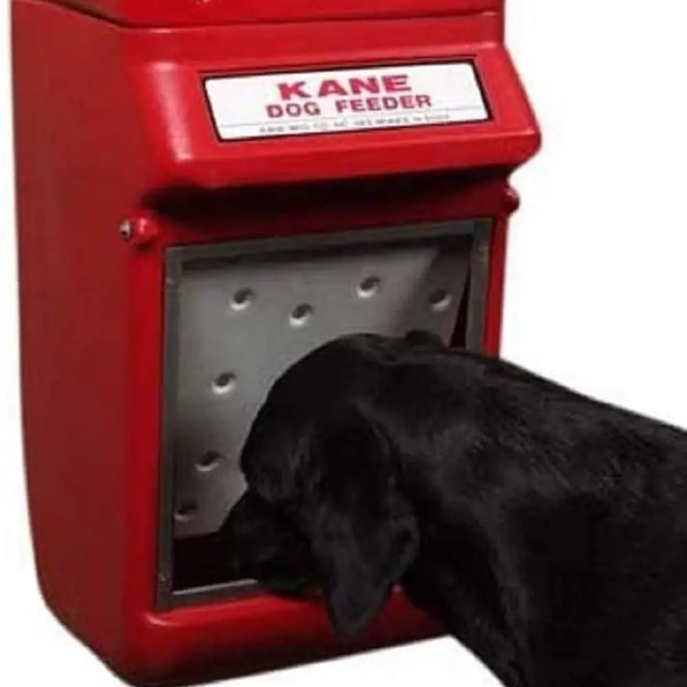 Wall Mount Auto-Shut Dog Feeder, 25 lb Capacity, Outside Dog Bowl is built to last