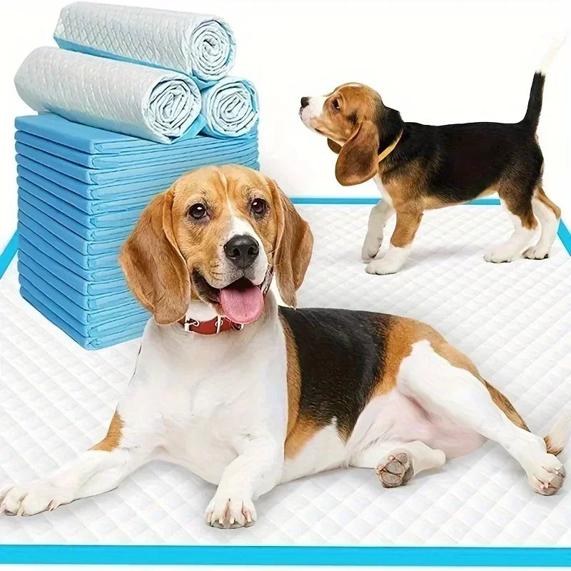 40/50/100/200pcs Super Absorbent Odor-Control Disposable Dog Diapers & Training Pads