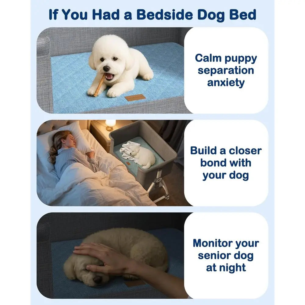 Elevated Adjustable Pet Bed for Small to Medium Dogs and Cats, Removable Cover, Sides Included