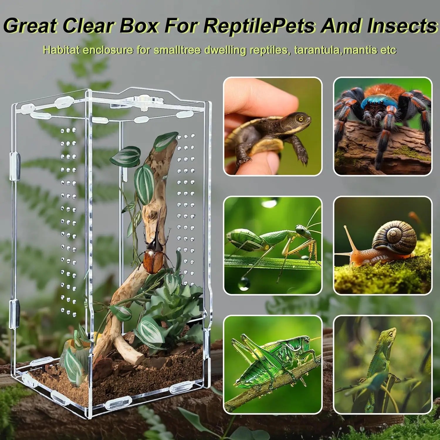 Acrylic Transparent Reptile Terrarium Habitat Reptiles Cage Nano Arboreal Tarantula Enclosure Bearded Dragon