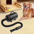Pet Hair Dryer, Adjustable Design Wind Speed, Electric Dog Cat Hair Dryer, 4 Nozzles