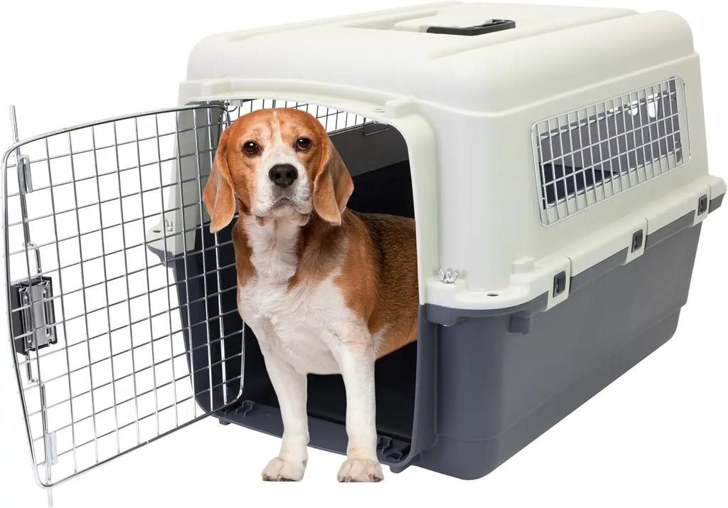 Medium Gray Travel Dog Crate with Rolling Wire Door, Airline Approved and Durable