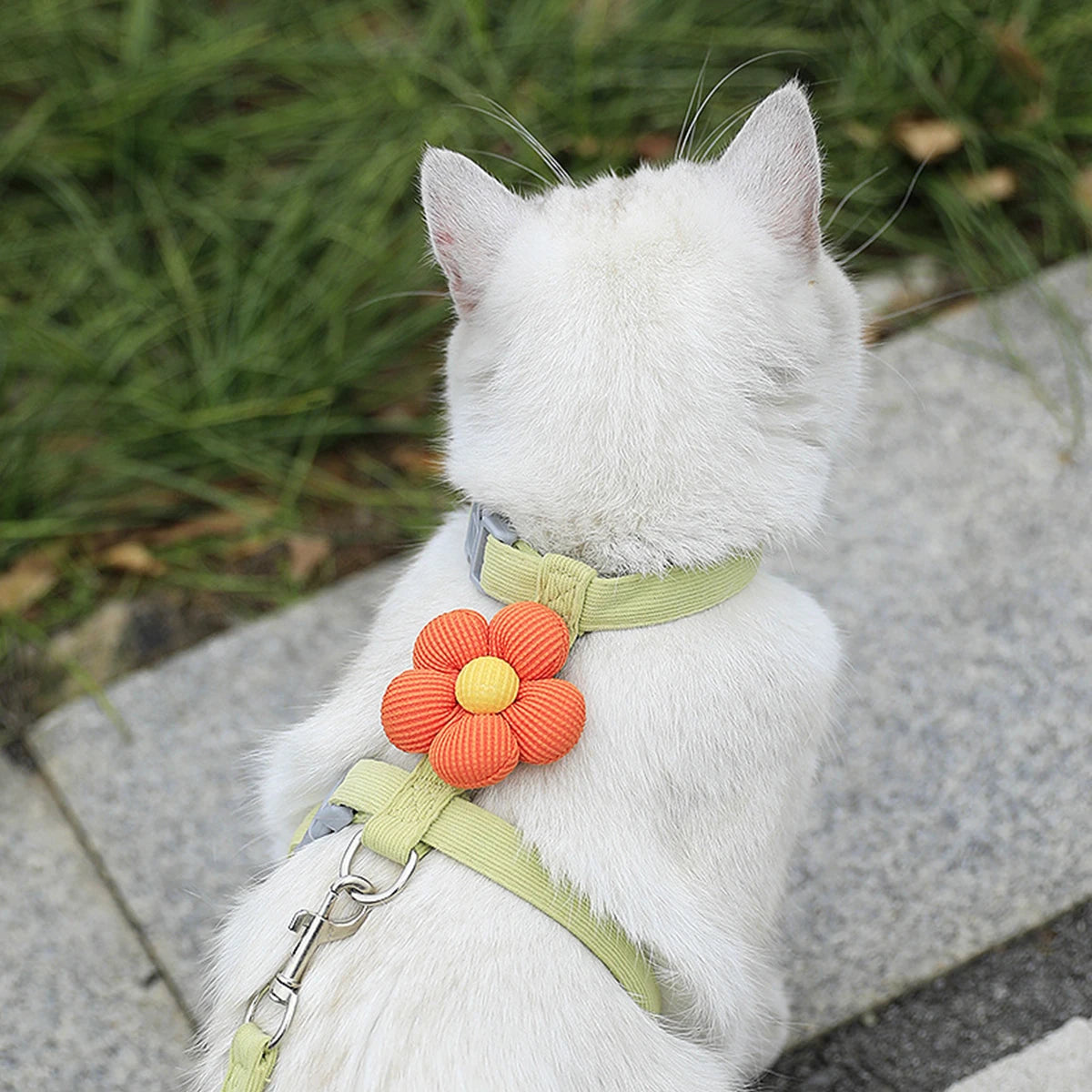 Cat Harness and Leash Sets, Adjustable Dog Harness for Small Dog, Leash Breathable Pet