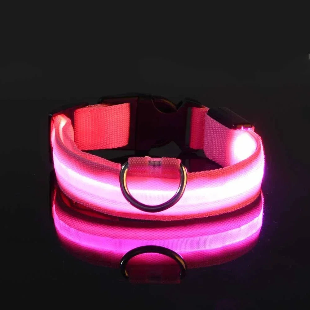 Dog Collar Nylon LED Night   Safety Flashing Glow-In-The-Dark Pet Dog Leash