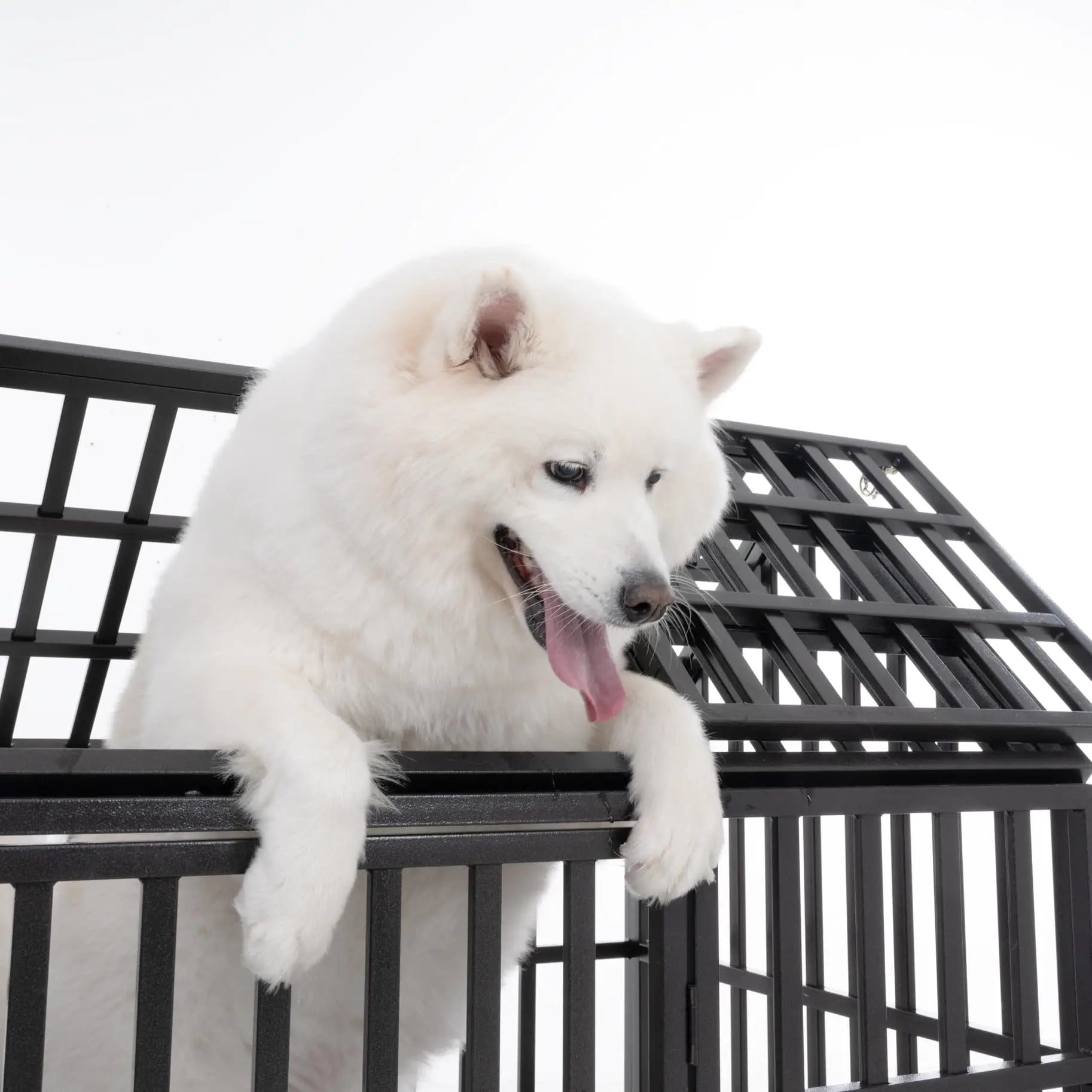 Heavy Duty Dog Crate for Large, Medium & Small Dogs. Indestructible, Escape-Proof