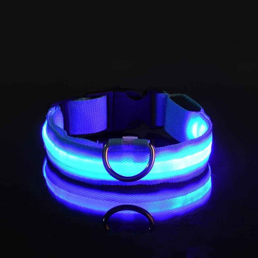 Dog Collar Nylon LED Night Safety Flashing Glow In The Dark Pet Dog Leash