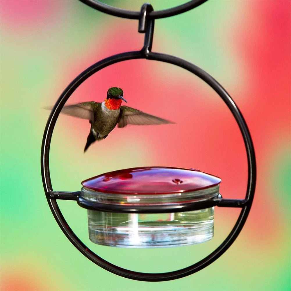 Hummingbird Drinker Feeder Attract Birds, Ant/Bee Proof with Red Glass Bowl for Outside Garden Backyard Patio Deck