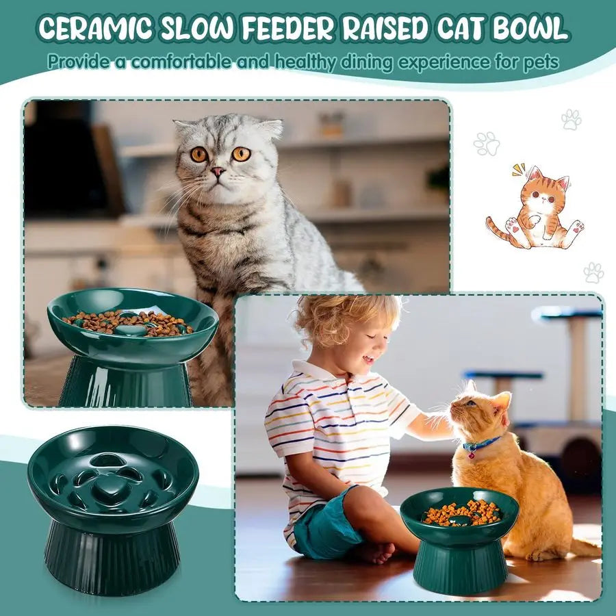 2 Pcs Raised Cat Slow Feeder Bowl Ceramic No Spill High Edge for Dry Wet Food and Water Easy to Clean