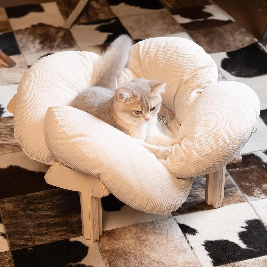 Elevated Cat Bed Wooden with Cushion. Raised Kitty Lounge Chair Suitable for Puppy, Cat