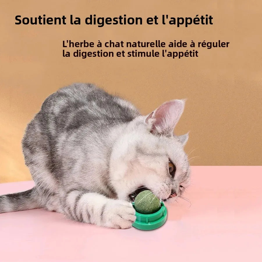 Spinning Catnip Mint Ball for Cats, Interactive Toy with Natural Catnip, Hairball Control