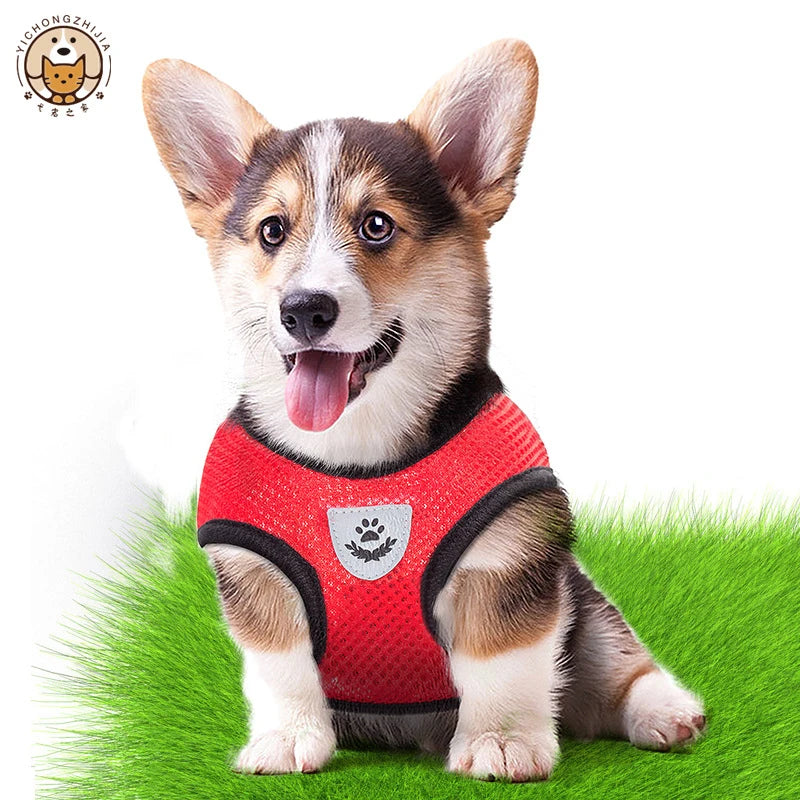 Cat/Puppy Harness Vest Walking Leash Collar Polyester Adjustable Mesh