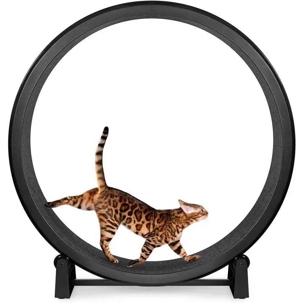 7 One Fast Cat Exercise Wheel - US Made - Black with Felt Pads & Inline Wheels