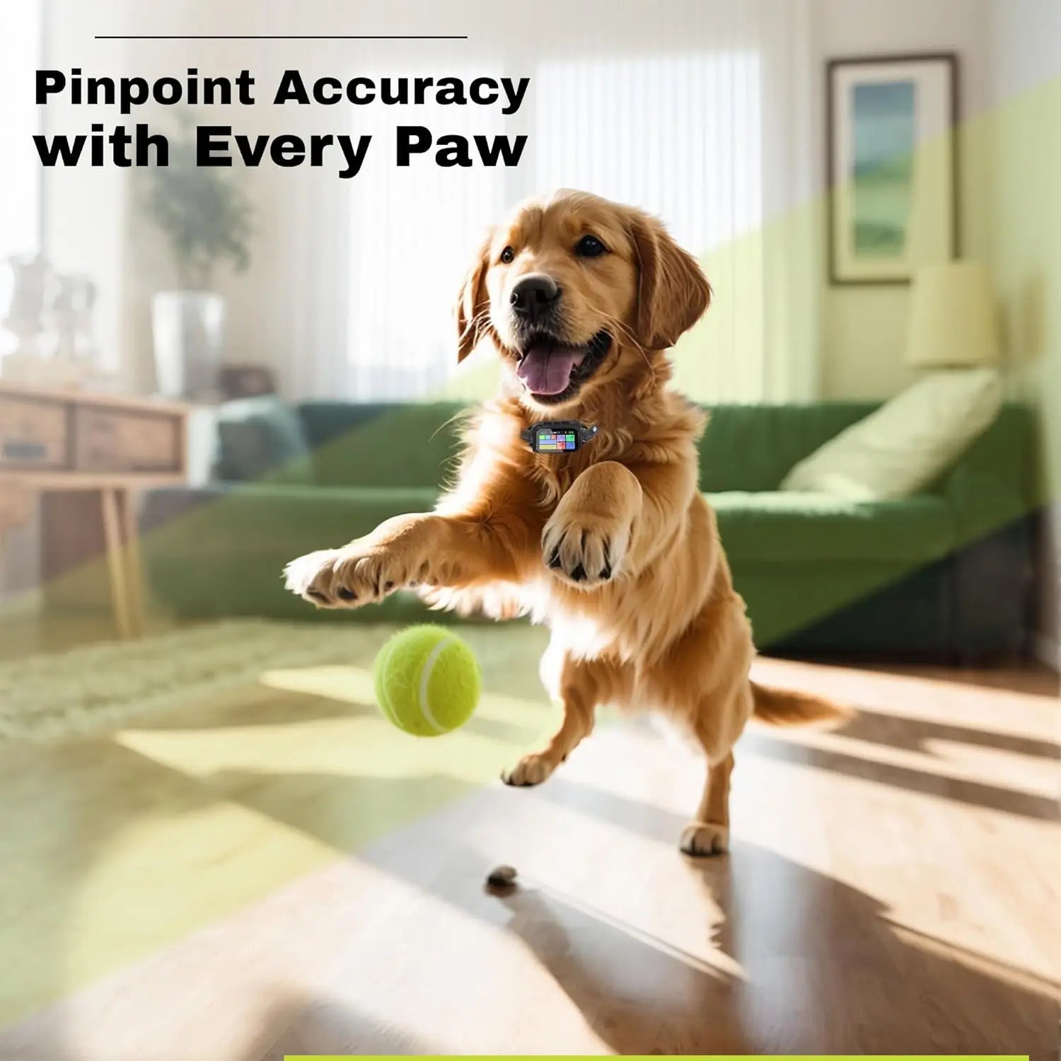 Customizable GPS Dog Collar Fence, Waterproof LCD, 6998 ft ,App-Controlled