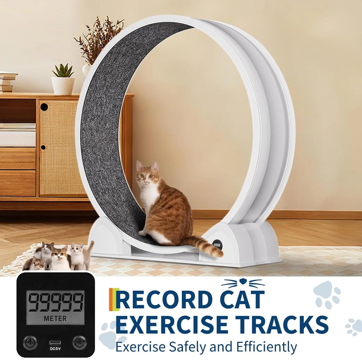 Cat Exercise Wheel for Indoor Cats, Quiet Cats Treadmill with Pedometer