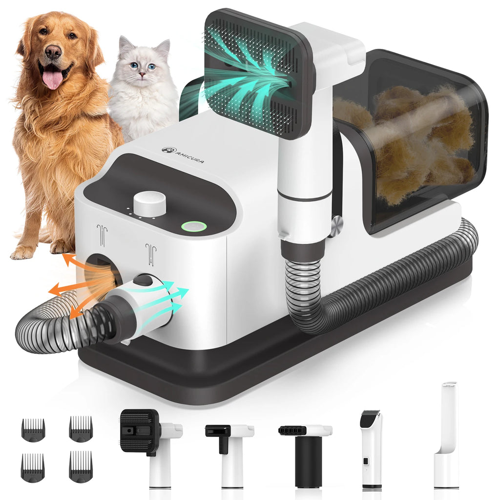 Vacuum Cleaner & Hair Dryer, Adjustable Speed and Temperature, 5 Proven Care Tools
